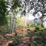 Sand Rock Farm Lodging + Events