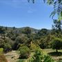 Enchanted Elfin Forest Home  on 2 private acres