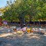 Julia's Fruit Stand