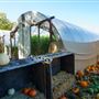 Julia's Fruit Stand