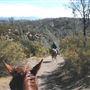 R Wild Horse Ranch