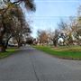 Tehama