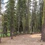 Lassen Volcanic National Park