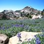 Lassen Volcanic National Park