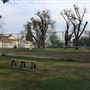 Belbeck Park