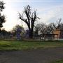 Belbeck Park