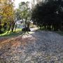Samuel Ayer Park