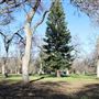 Cone Grove Park