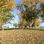 John R Trainor Park