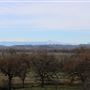 Sacramento River Bend
