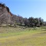 Meadowbrook Ranch