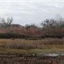 Battle Creek Wildlife Area - California Department of Fish & Wildlife (CDFW)