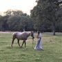 Heart S Ranch
