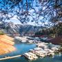 Holiday Harbor