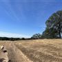 Field to Fork Farm