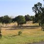 Historic Marysville Cemetery