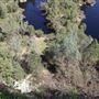 Black Swan Trail
