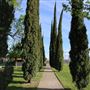 Olivehurst