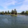Ellis Lake