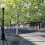 Yuba City