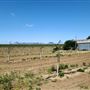 Tierra Buena