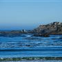 Caspar Headlands State Beach (SB)