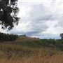 Various Rural Farms And Ranches