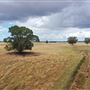Various Rural Farms And Ranches