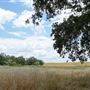 Various Rural Farms And Ranches