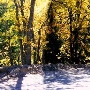 Forest Service Road 2N10 South of West Gate