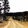 Forest Service Road 3N12 South of 3N16