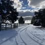 Red Skelton ranch