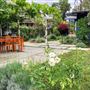 Airy and Bright Modern Bungalow