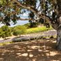 Carmel Valley Ranch Hotel