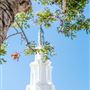 W Los Angeles - West Beverly Hills