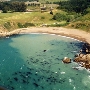 Sandy Cove Beach @ Fort Ross State Historic Park (SHP)