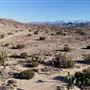 Carr Canyon Ranch