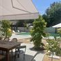 Maison Oubi - A cozy, poolside oasis