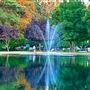 Wonder Valley Resort, Dude Ranch & Equestrian Center