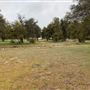 Red Thorne Ranch / The Barn Loft / Mini Petting Zoo