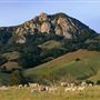 California Polytechnic State University, San Luis Obispo