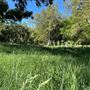 Canyon Ranch