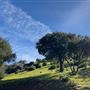 Canyon Ranch