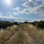 Canyon Ranch