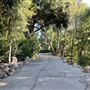 Canyon Ranch