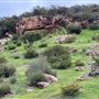 Canyon Ranch