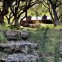 Canyon Ranch