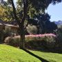 Canyon Ranch