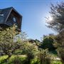 The Mushroom House