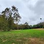 Franklin Canyon Park - Santa Monica Mountains Conservancy - SMMC